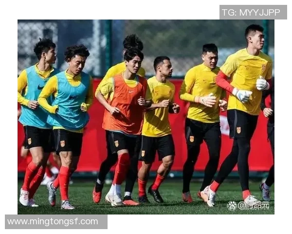 上海足球队精英赛征程回顾与突破成就的深度解析