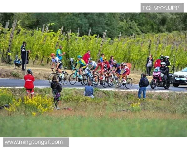 上海足球队在世锦赛中的灵活性表现分析与未来展望