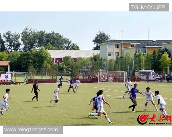 徐州丰县足球崛起之路探秘青少年培养与地方文化的深度融合