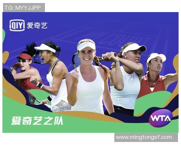 深圳网球队的奋斗历程与成长故事揭示了体育精神的真谛与团队的力量