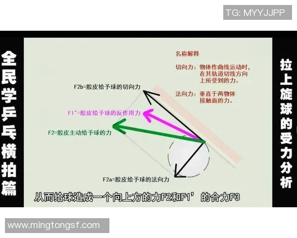 西安乒乓球队近期状态分析与表现评估的全面数据解读