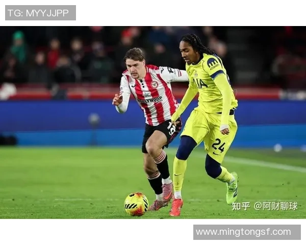 精准分析与独家见解助你选择最佳足球球推荐策略