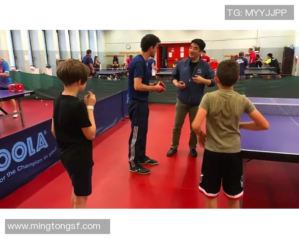 聚焦乒乓球战术探讨:杭州乒乓球队的策略与发展之路