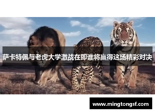萨卡特佩与老虎大学激战在即谁将赢得这场精彩对决