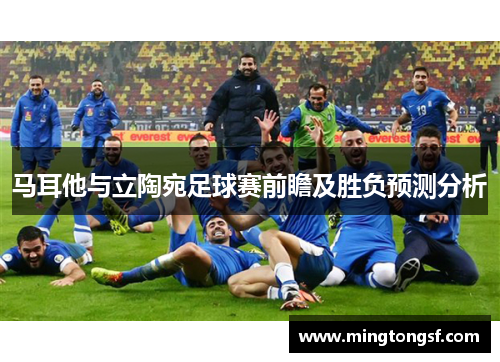 马耳他与立陶宛足球赛前瞻及胜负预测分析