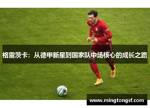 格雷茨卡：从德甲新星到国家队中场核心的成长之路