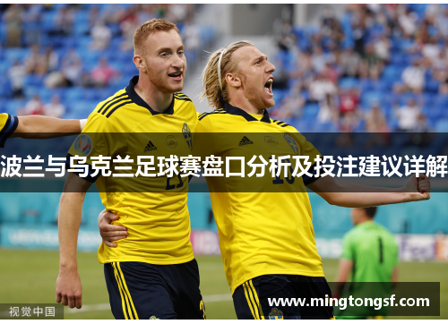 波兰与乌克兰足球赛盘口分析及投注建议详解