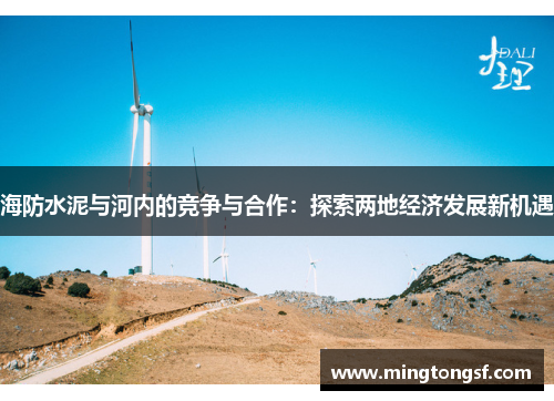 海防水泥与河内的竞争与合作：探索两地经济发展新机遇