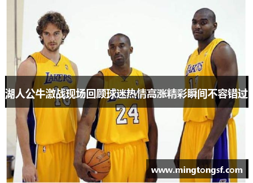 湖人公牛激战现场回顾球迷热情高涨精彩瞬间不容错过