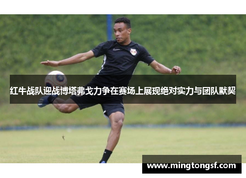 红牛战队迎战博塔弗戈力争在赛场上展现绝对实力与团队默契