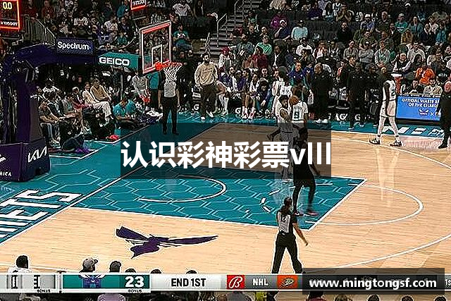 认识彩神彩票vIII